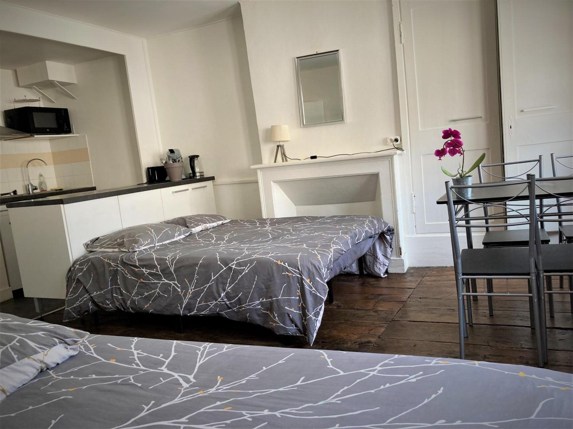 Studio Double 31 Centre De Limoges Wifi Εξωτερικό φωτογραφία