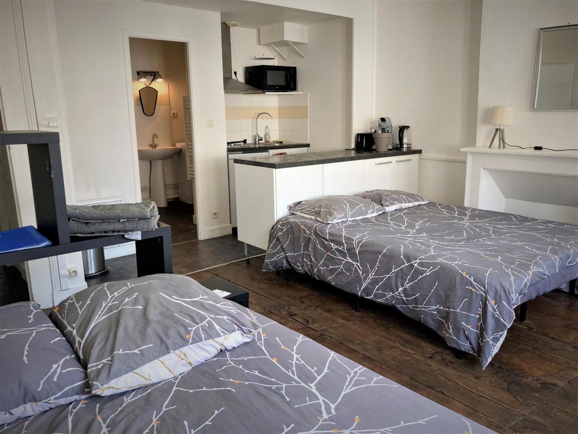 Studio Double 31 Centre De Limoges Wifi Εξωτερικό φωτογραφία