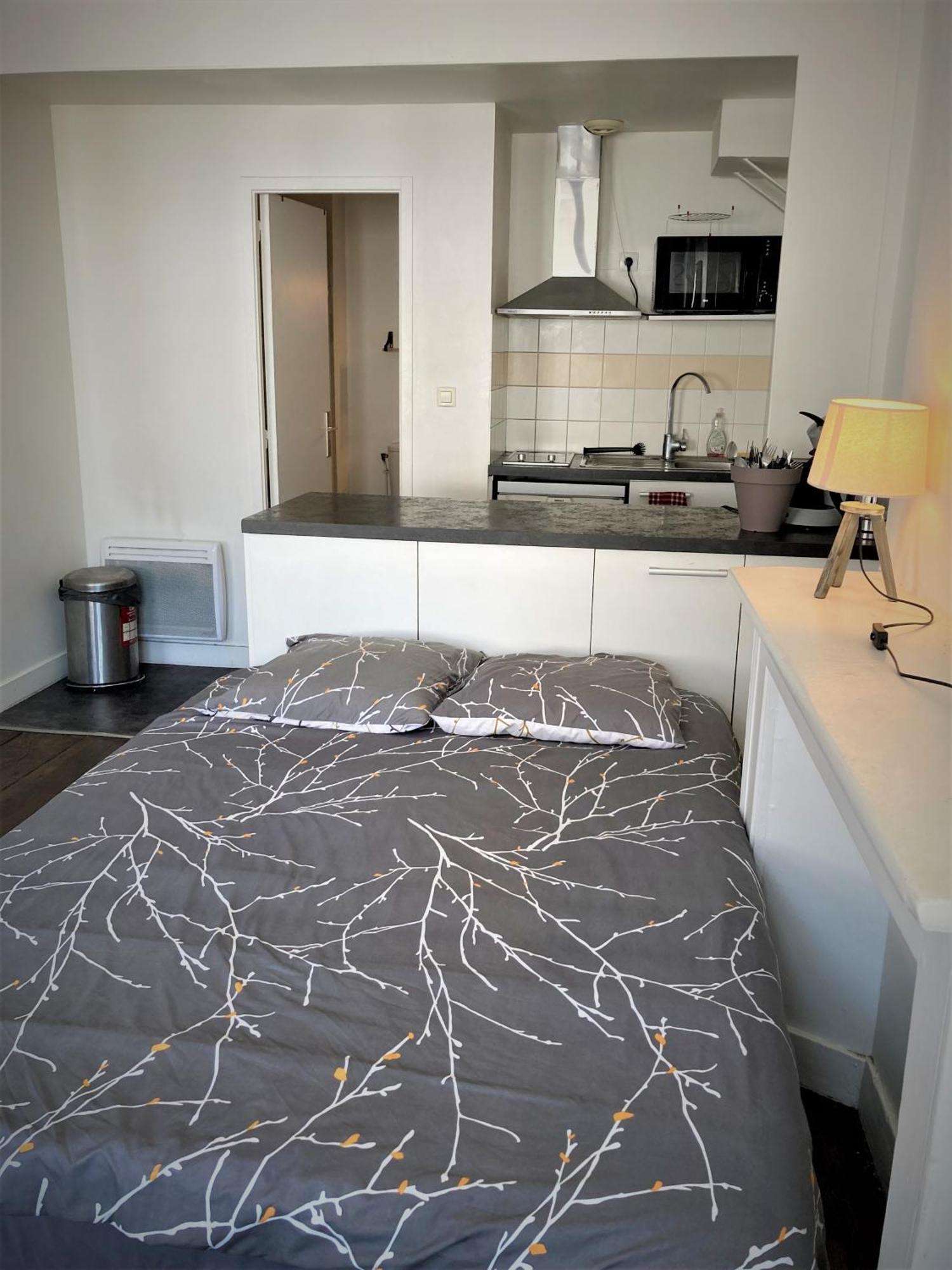 Studio Double 31 Centre De Limoges Wifi Εξωτερικό φωτογραφία